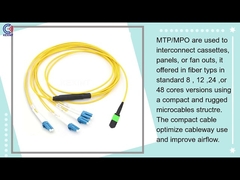KEXINT cordon de raccordement à Fiber optique monomode Multimode 8 cœurs 3m MPO vers LC de haute qualité