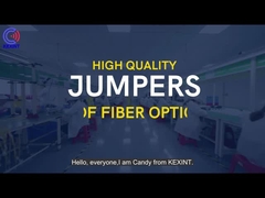 OM3 24 MTP MPO Cordon de raccordement fibre optique Type B SENKO Bleu d'eau