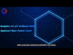 Corrections optique de la fibre les 24 MTP MPO attachent type magenta B de la perte 0.3dB du noyau OM4 24 de 5M le bas