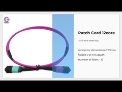 Corrections optique de la fibre les 24 MTP MPO attachent type magenta B de la perte 0.3dB du noyau OM4 24 de 5M le bas